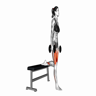 Dumbbell Bulgarian Split Squat