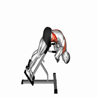 45 degrees Back Extension Scapula Adduction