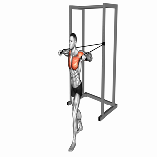 Band Standing Chest Press