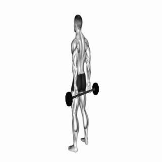 Barbell Behind Back Finger Curl