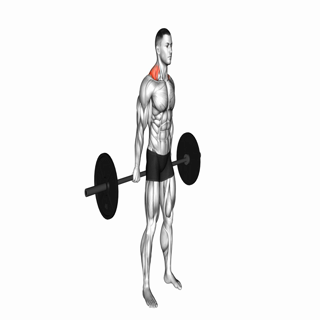 Barbell Behind The Back Shrug