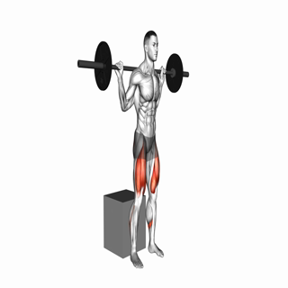 Barbell Box Squat