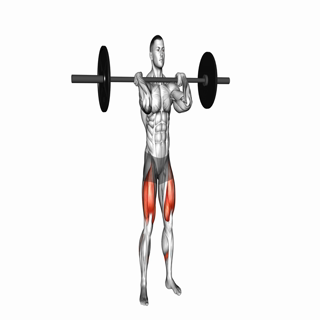 Barbell Clean grip Front Squat