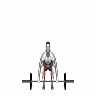 Barbell Deadlift (front POV)