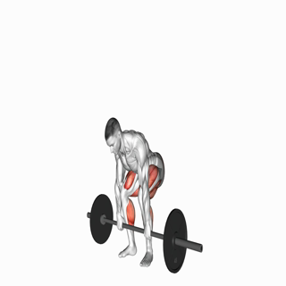 Barbell Deadlift