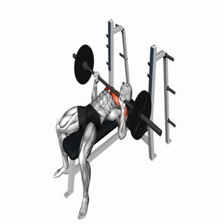 Barbell Bench Press