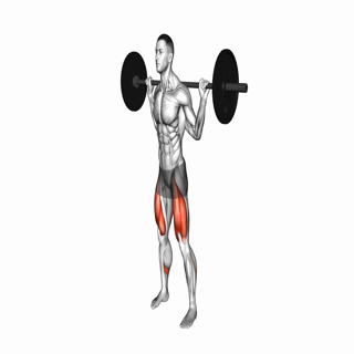 Barbell Full Squat
