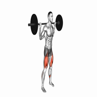 Barbell Full Squat (Back POV)
