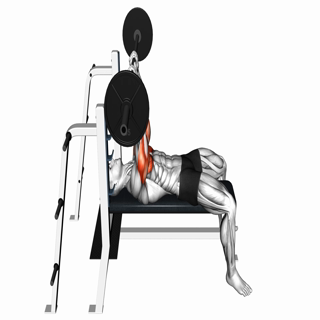 Barbell JM-Bench Press