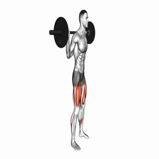 Barbell Low Bar Squat