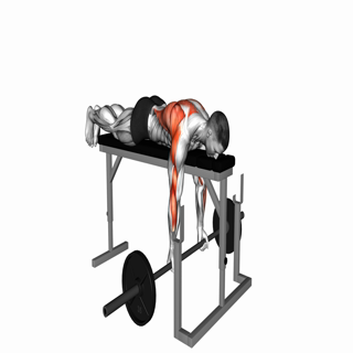 Barbell bench row with close underhand grip