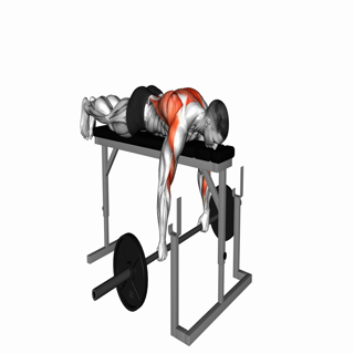 Barbell Lying Seal Row on Rack