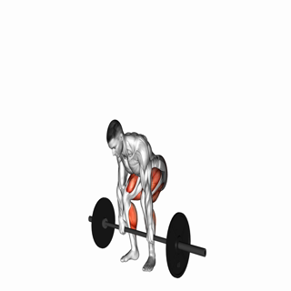 Barbell Pause Deadlift