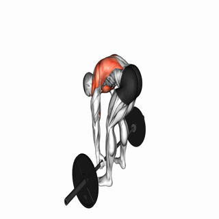 Barbell Pendlay Row