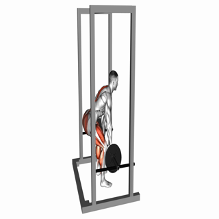 Barbell Rack Pull