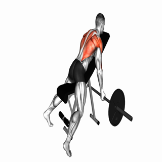 Barbell reverse grip incline bench row