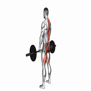 Romanian Deadlift
