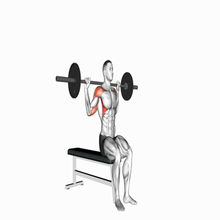 Barbell Seated Behind Head Military Press