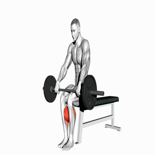 Barbell Seated Calf Raise