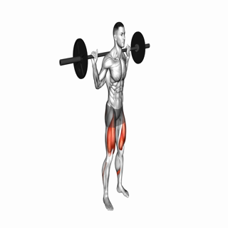 Barbell Squat 2 sec Hold