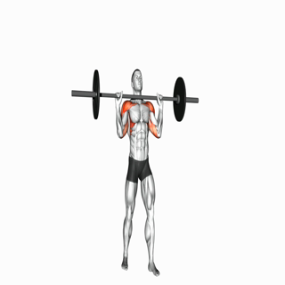 Barbell Standing Military Press (without rack)