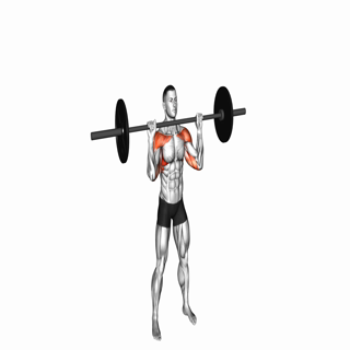Barbell Overhead Press