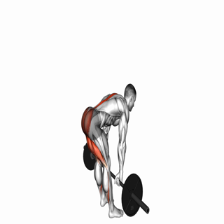 Barbell Stiff Legged Deadlift