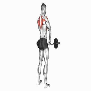 Barbell Upright Row