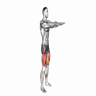 Bodyweight Squat