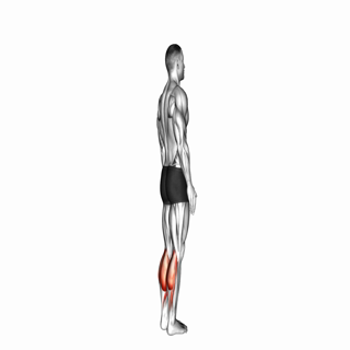 Bodyweight Standing Calf Raise
