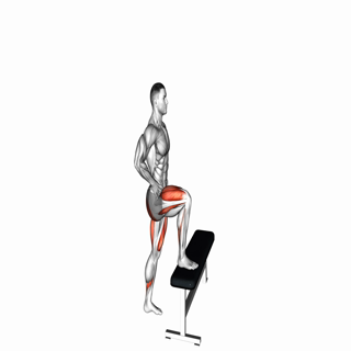 Bodyweight Step-up (VERSION 2)