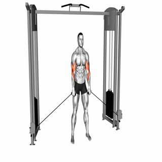 Cable Cross Body Hammer Curl