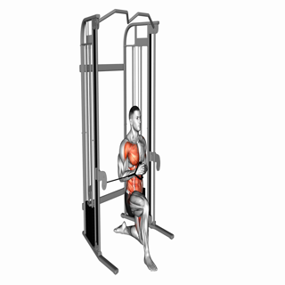 Cable Half Kneeling Pallof Press