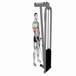 Cable Hammer Curl (with rope)
