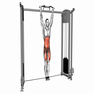 Cable Hanging Leg Raise