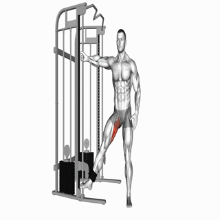 Cable Hip Adduction