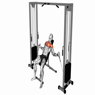 Cable Incline Fly