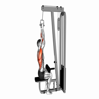 Cable Lateral Pulldown with V-bar