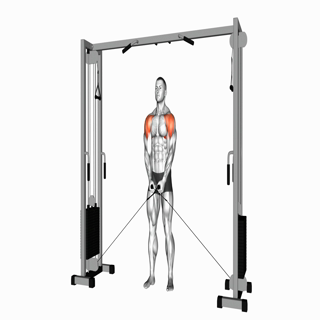 Cable Lateral Raise