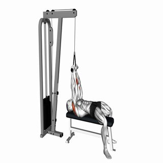 Cable Lying Face Pull