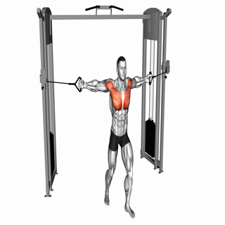 Cable Middle Fly
