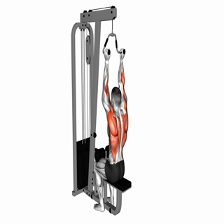 Cable Neutral Grip Lat Pulldown