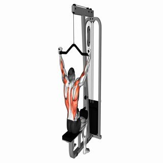 Wide Grip Lat Pulldown