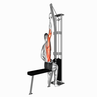 Cable one arm lat pulldown