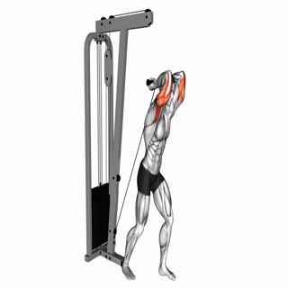 Cable Overhead Triceps Extension Straight Bar