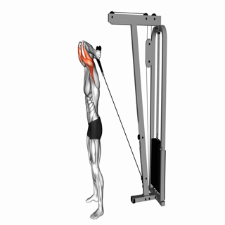 Cable Overhead Triceps Extension (rope attachment)