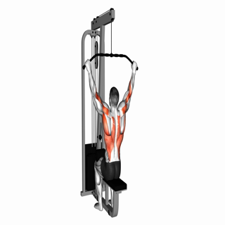 Cable Pulldown (pro lat bar)