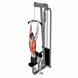 Cable Pulldown