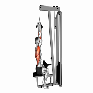 Cable Reverse grip Pushdown