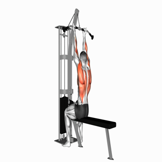 Cable Reverse grip Straight Back Seated High Row